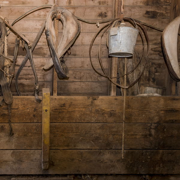 Harness and tack hanging on a weathered barn wall